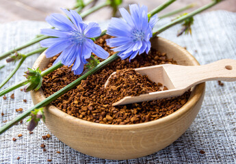Ground chicory root and chicory flowers on a rustic wooden background. Alternative medicine. Healthy drinks. chicory drink