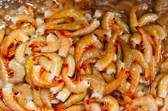 Closeup of raw Alabama shrimp at a seafood processing facility