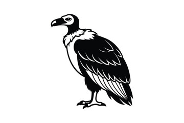 Fototapeta premium Detailed Black and White Vulture Illustration Standing Tall in Silhouette Style silhouette