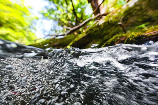 Low angle shot at the surface of flowing water in a clear mountain stream
