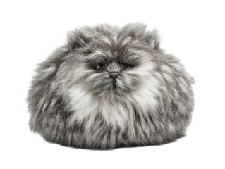 PNG of A fluffy, round cat toy with a dense, gray fur texture, resembling a playful and cuddly companion. - on Transparent or White BG