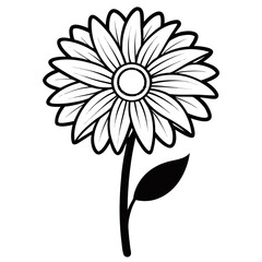 white flower on black background