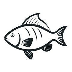 fish on a white background