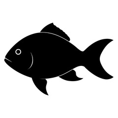 vector illustration of a fish