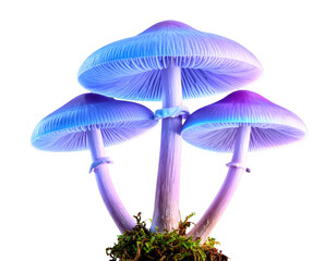 Crystal-Capped Neon Magic Mushrooms with Electric Light Trails, angled side view, isolated
