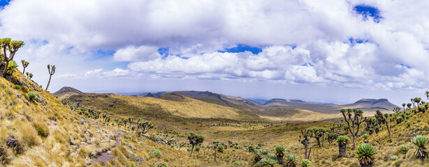 Dragons Teeth Twin Rocks Nipple Mount Satima oldoinyo Lesatima Aberdare National Park Range...