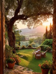 Back garden photo