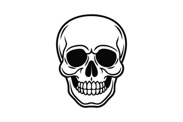 Detailed Human Skull Silhouette Illustration Graphic