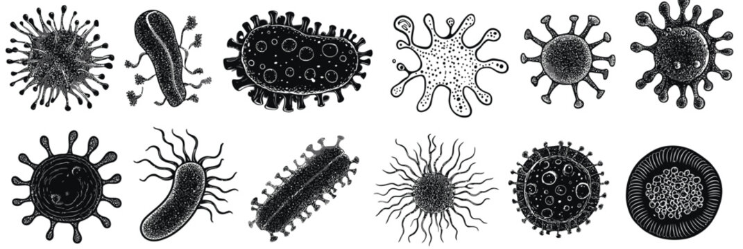 Detailed black and white vector illustration of various bacteria and virus microorganisms with diverse shapes and structures in a flat minimalist style