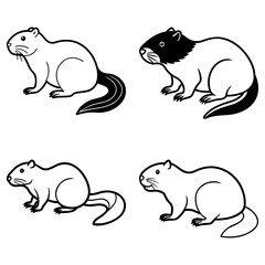 Four stylized beavers in black and white with different tail and head coloring variations shown here