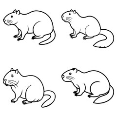 Four outline drawings of beavers in different poses with tails and small ears on a white background