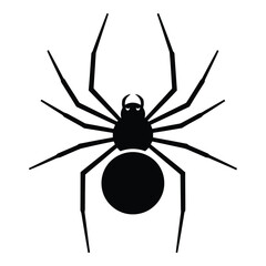 Black Spider Silhouette
