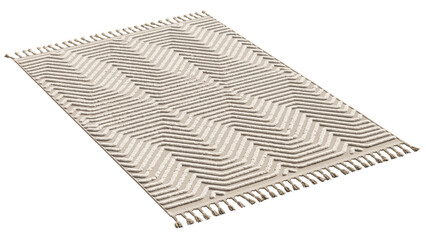 Rustic style rug with long pile and braids. 3d render