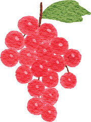 Watercolor illustration of fresh fruits on isolated background