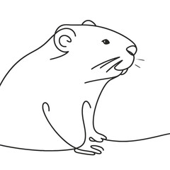 Obraz premium Groundhog sitting on plain background