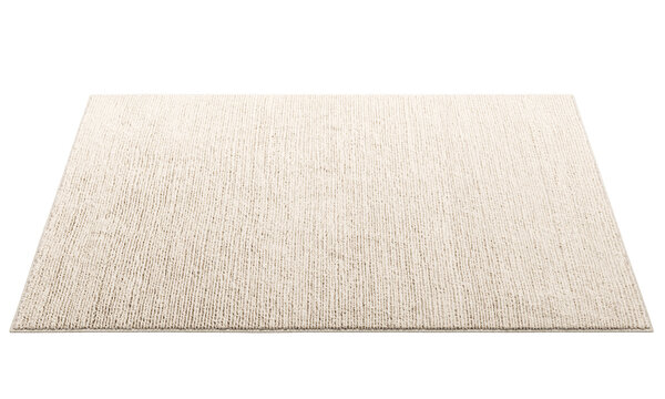 Modern rectangular rug with long pile. 3d render