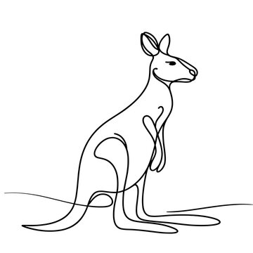 Kangaroo sitting against transparent background