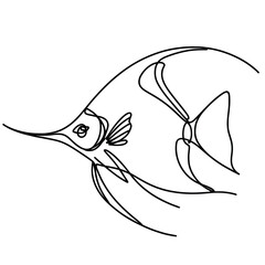 Fototapeta premium Angel fish swimming against transparent background