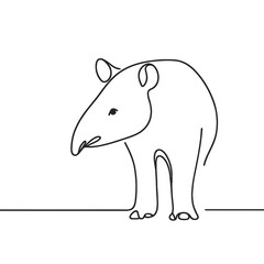 Tapir standing against transparent background