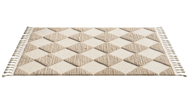 Rustic style rug with long pile and braids. 3d render