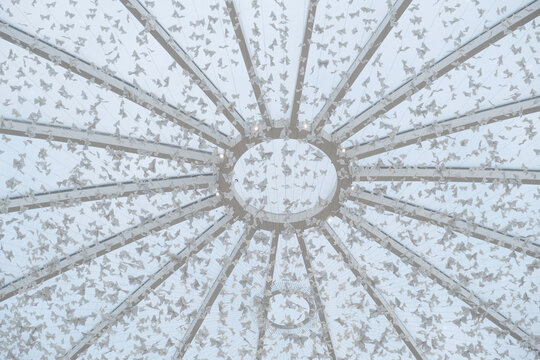 Artistic dome ceiling decorated with hundreds of delicate white paper butterflies