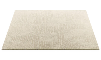 Modern beige rectangular rug with long pile. 3d render
