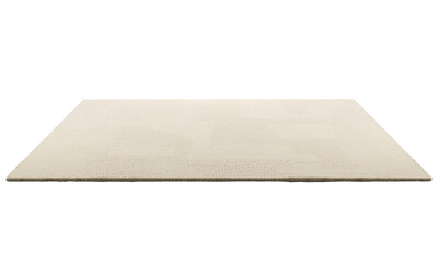 Modern beige rectangular rug with long pile. 3d render