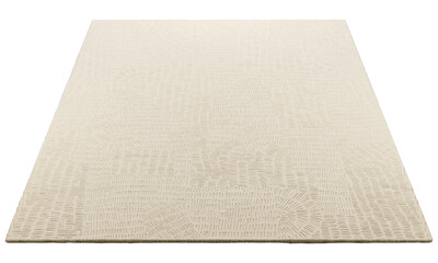 Modern beige rectangular rug with long pile. 3d render