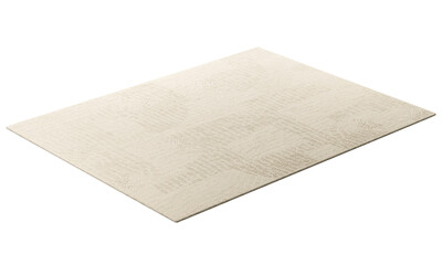 Modern beige rectangular rug with long pile. 3d render