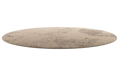 Modern brown round rug with long pile. 3d render