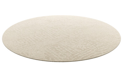 Modern beige round rug with long pile. 3d render