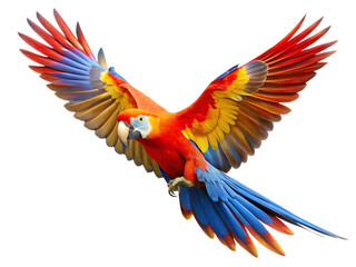 Fototapeta premium flying scarlet macaw parrot isolated on white background PNG , AI GENERATED