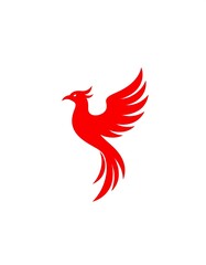 Fototapeta premium Red phoenix design