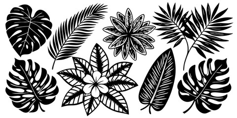 Vibrant Black and White Tropical Leaf Art Design