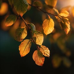 Fototapeta premium Golden autumn leaves on branch