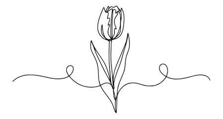 Single line drawing of a tulip flower with decorative swirls floral botanical