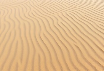 Intricate, windswept sand patterns on a beach, showing fine texture and ripple detail,  shadow,  graphic