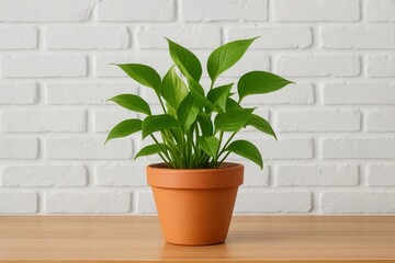 Fototapeta premium A lush green fern thrives in a terracotta pot against a pristine white brick wall, symbolizing the beauty of greenery brought into our living spaces