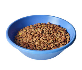 Blue bowl filled with raw brown lentils, isolated on white background. Symbolizes plant protein nutrition, sustainability, and affordable pantry staples for vegetarian cooking 