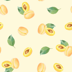 Seamless watercolor pattern with hand drawn apricot with leaves and half apricot.