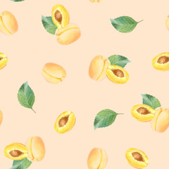 Seamless watercolor pattern with hand drawn apricot with leaves and half apricot.