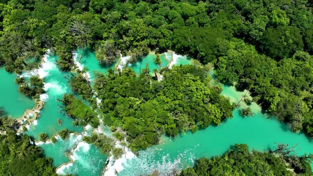 R&iacute;o de aguas limpias entre &aacute;rboles frondosos
Paisaje acu&aacute;tico de tonos vibrantes