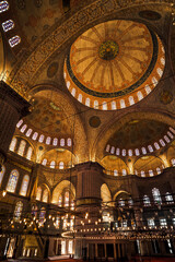 Obraz premium The Blue Mosque in Istanbul