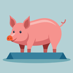 vector illustration of yorkshire pig, eating from trough, flat design