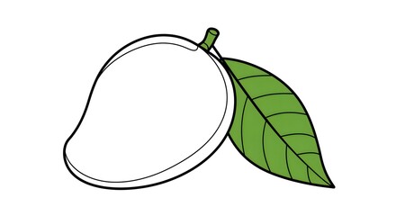 Mango fruit illustration drawing