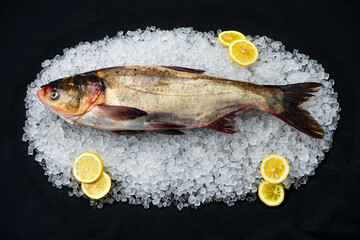 Fresh silver carp on ice on a dark background with lemons photo