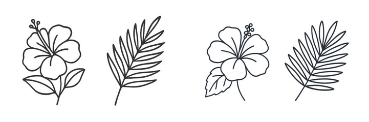 Obraz premium Botanical illustrations of hibiscus flowers and palm leaves in a simple, outlined style
