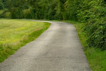 Winding asphalt road leading into green forest in summer