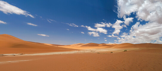 Sand dune panorama in Sossusvlei.