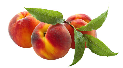 Fresh peaches with leaf and fuzz on a white background